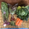 Ⓐ静岡厳選野菜セット 6品　本州のみ対応（火曜・金曜発送日）