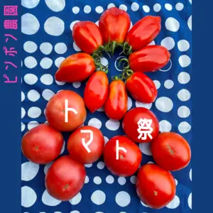 ピンポン農園トマト祭り‼︎真夏のトマト三昧セット