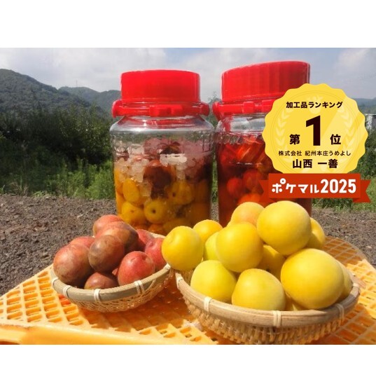 [冷凍梅]みなべの梅でおいしい梅シロップをつくろう! [冷凍]露茜1kg