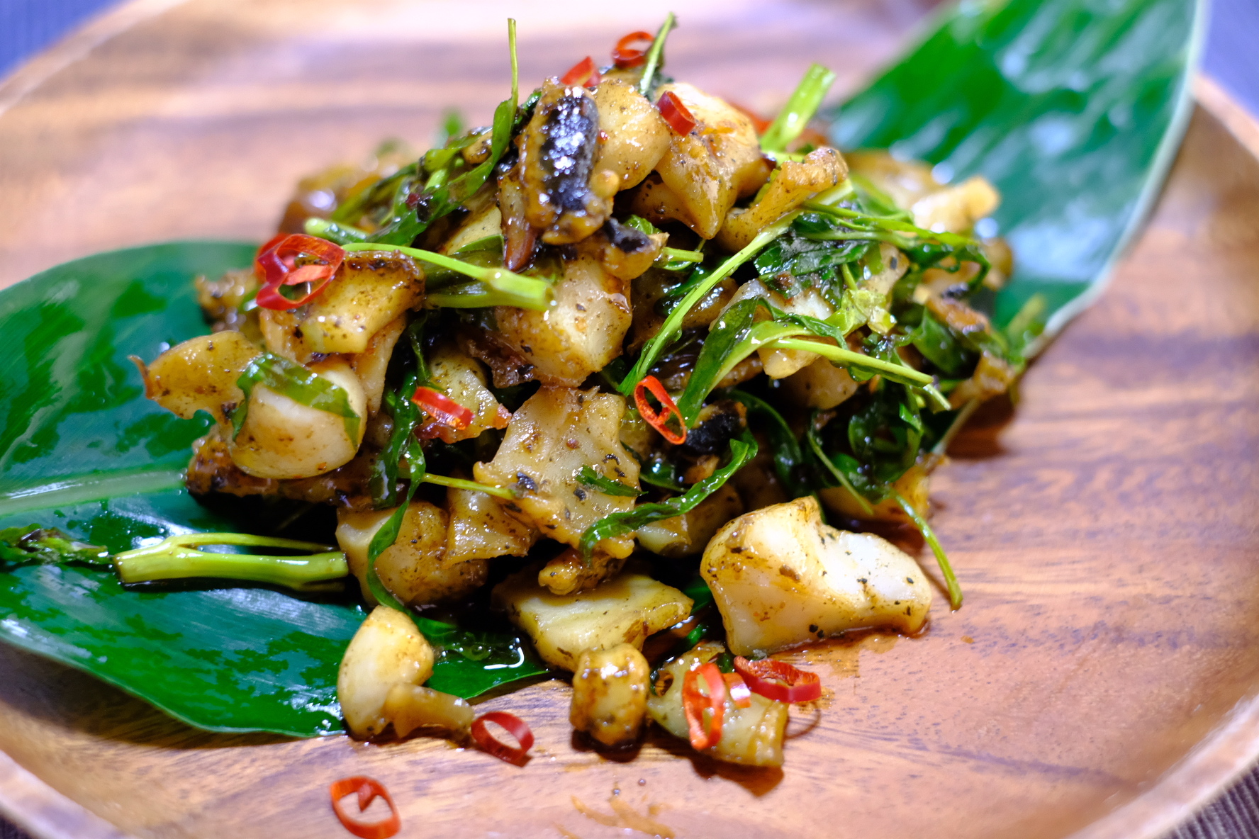 食べて磨ける【超特大夜光貝】2.9Kg 1個 （殻付き）｜その他の貝類の