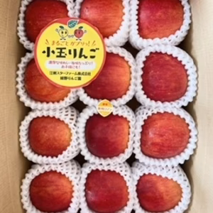 上質な甘みと香り! 岩手江刺産【奥州ロマン】小玉　家庭用