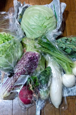 みんなの投稿の画像