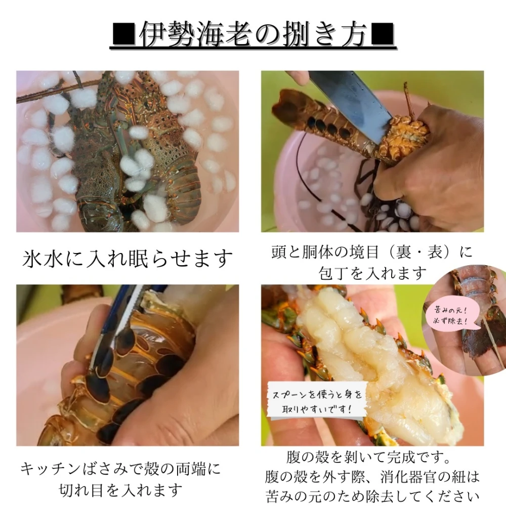 千葉県産 訳あり 活伊勢海老 大1キロ（2〜3匹）〜｜魚介類の商品詳細