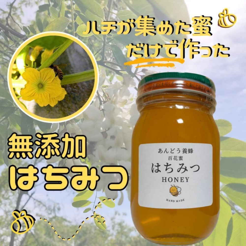 日本蜜蜂 はちみつ600g 自然 2瓶 - その他