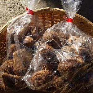 【栽培期間中農薬不使用】里芋『八ツ頭』ヤツガシラ 小芋孫芋☺️