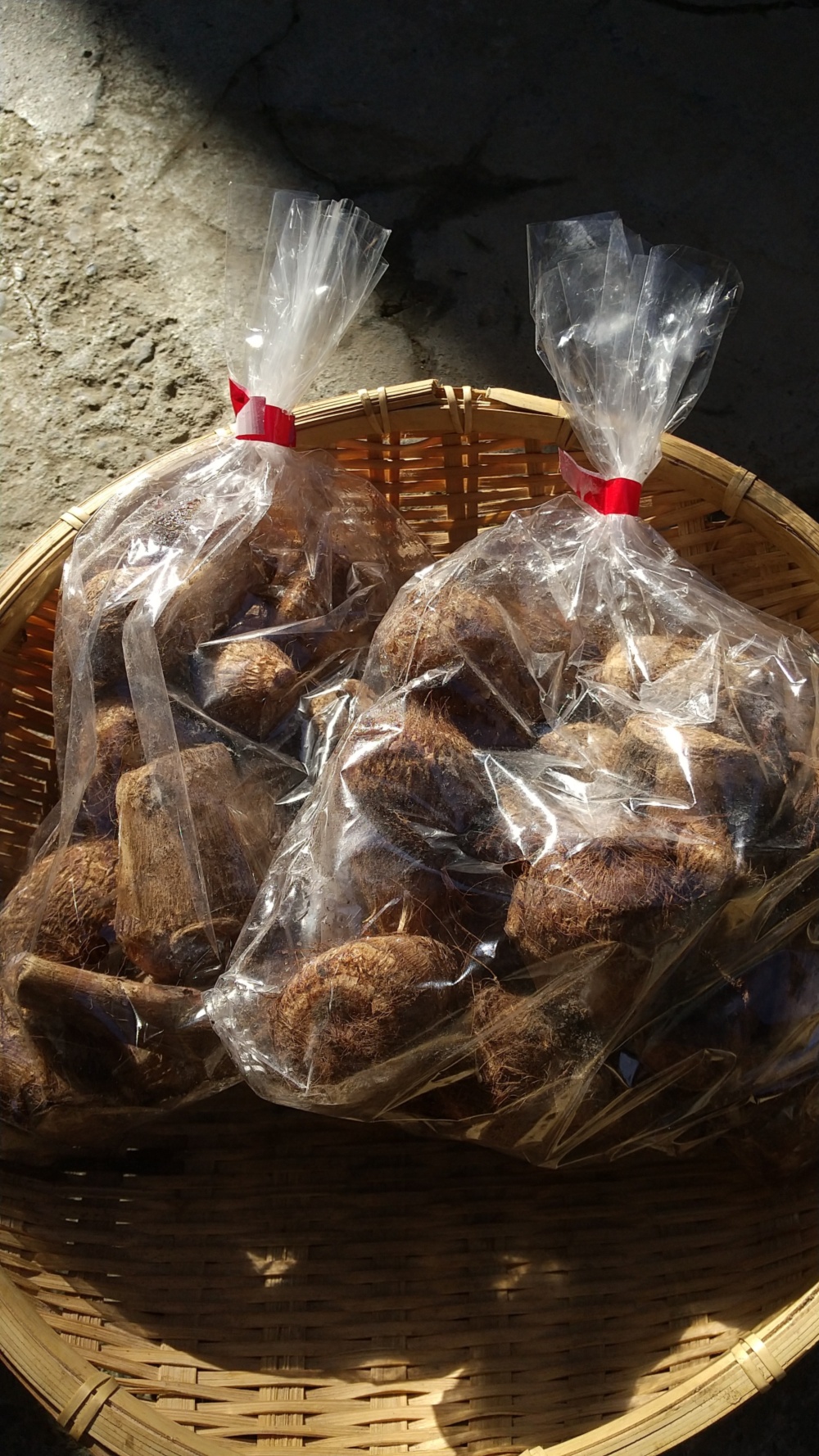 【栽培期間中農薬不使用】里芋『八ツ頭』ヤツガシラ 小芋孫芋☺️ 農家漁師から産地直送の通販 ポケットマルシェ