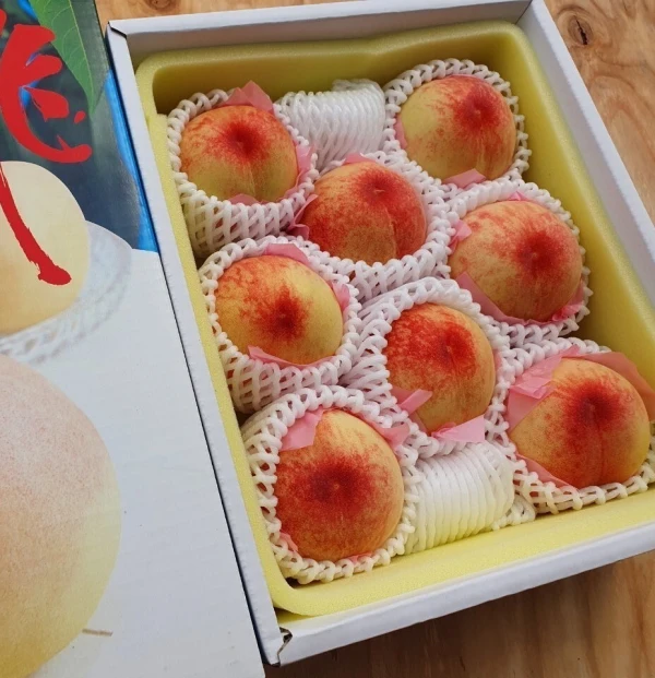 おかやまの白桃 ✾8月おまかせ品種✾贈答用中箱 