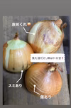 訳あってお買い得❗️淡路島玉ねぎ小玉5kg ｟3箱限定❕｠