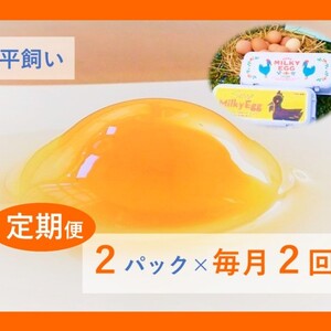 ミルキーエッグ (10個入×2パック)【月２定期】