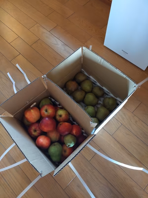 みんなの投稿の画像