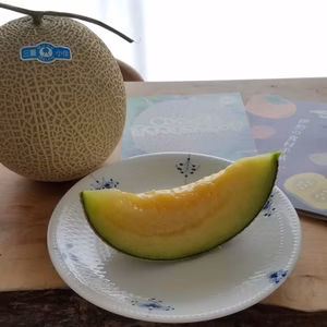 夏ギフトに最適 特撰とろとろめろん３個化粧箱入り