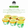 抹茶味6個セット|カップ