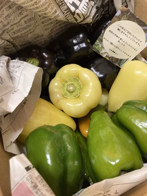 みんなの投稿の画像