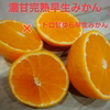 【地元で即】 ゆら早生完熟みかん2㎏✖完熟早生みかん2㎏