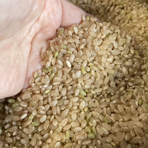 ☆令和7年 新米《玄米》冷めても美味しい【キヌヒカリ】5k〜