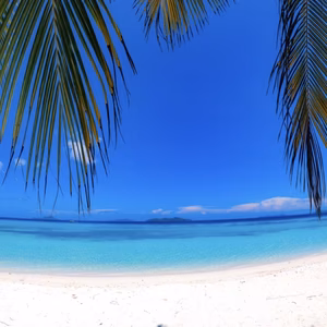 きおら様専用です♥