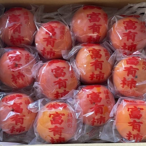 福岡県の冷蔵柿【富有】Mサイズ　12個(常温発送)