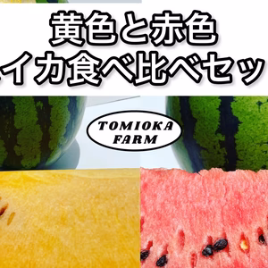 【金色＆赤色】黄色と赤色スイカ食べ比べセット