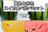 【金色＆赤色】黄色と赤色スイカ食べ比べセット