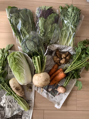 みんなの投稿の画像