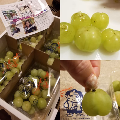 みんなの投稿の画像