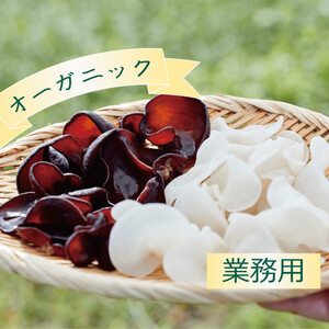 【業務用】国産！オーガニック黒生きくらげ300g×3袋～