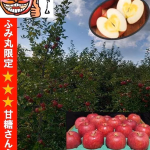 令和７年産！わずか1％！ 贈り物に大人気！【大玉贈答用】「冬ギフト！」青森県産り