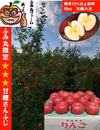 令和７年産！わずか1％！ 贈り物に大人気！【大玉贈答用】「冬ギフト！」青森県産り