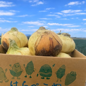 サラダで焼きで！あなた史上『1番美味しい玉ねぎ』になりたい【オニまる】