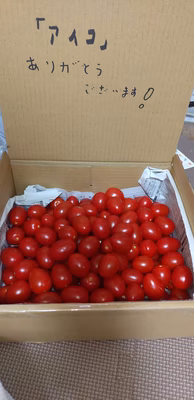 みんなの投稿の画像