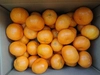 香り高い柑橘 たまみ5kg(S～3Lいずれかのｻｲｽﾞ混合でお届けします！) 