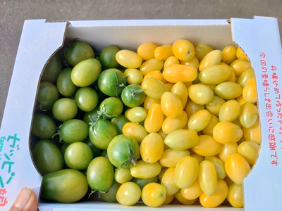 みんなの投稿の画像