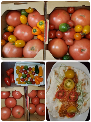 みんなの投稿の画像