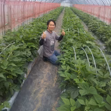 澁谷尚宏 | なゆさ農園