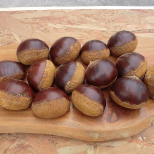 【ねっとり甘く香り高い大粒の栗】　岸根３０gまでのサイズ　農薬不使用