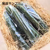 ○朝どり！当日発送！○甘さで評判のほーりーのきゅうり