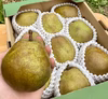 【西洋梨農家が贈る】山形県産ラ・フランス 3ｋｇ 特秀 ９玉入り