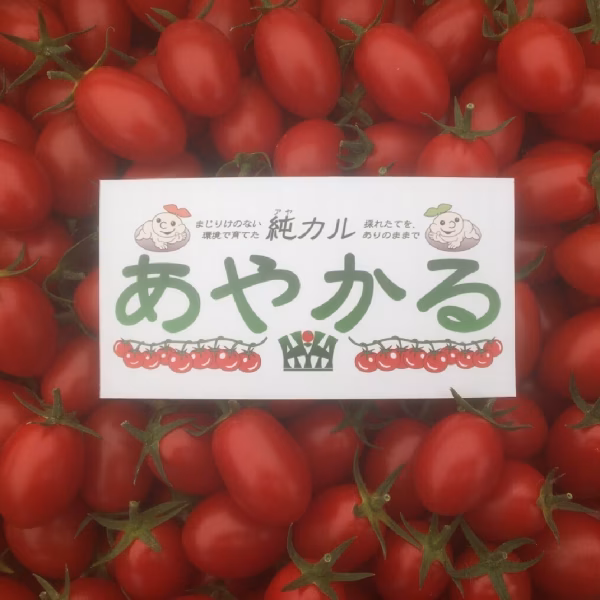 あやかるハウス