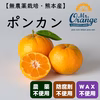【無農薬栽培】熊本産 ポンカン