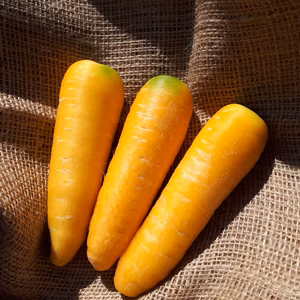 岩手山麓育ち❗金美人参　農薬・化学肥料不使用