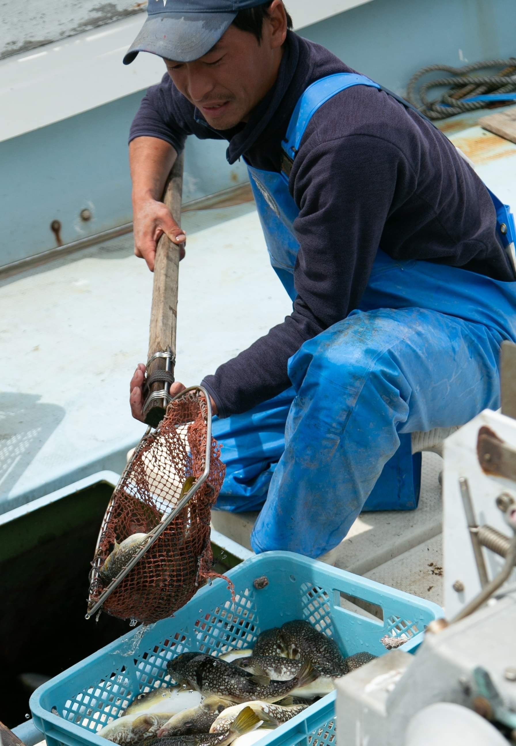 漁師 山口県熊毛郡上関町｜ふぐ漁師-水薙丸-｜上田健悟さんの生産者