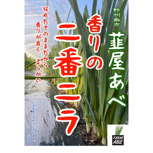 香りの2番ニラ FARMABE  採れたて発送^_^