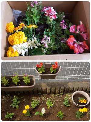 みんなの投稿の画像