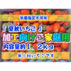 ★★加工向ご家庭用　夏秋いちご　内容量約１．2キロ