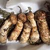 お得定期便　岩手県産松茸　100g 収穫次第発送！