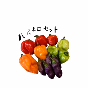 4色のハバネロセット！！
