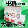 ももももぅ！　先着30箱！　南信州産『あかつき』