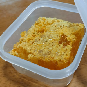 日本ミツバチの巣みつ 100g　　国産