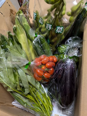 みんなの投稿の画像