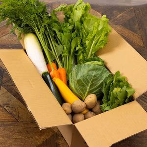 希少な「自然栽培」の野菜ボックス【Ｌサイズ】